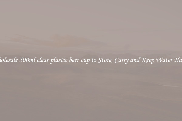 Wholesale 500ml clear plastic beer cup to Store, Carry and Keep Water Handy