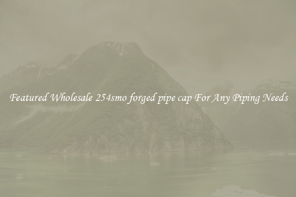 Featured Wholesale 254smo forged pipe cap For Any Piping Needs