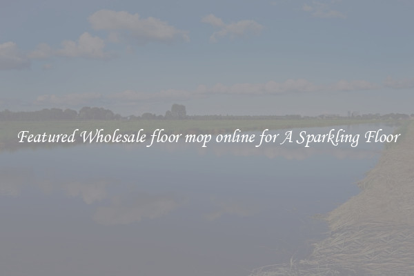 Featured Wholesale floor mop online for A Sparkling Floor