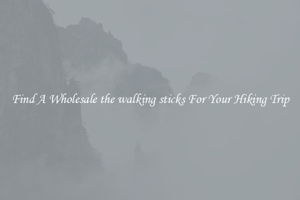 Find A Wholesale the walking sticks For Your Hiking Trip