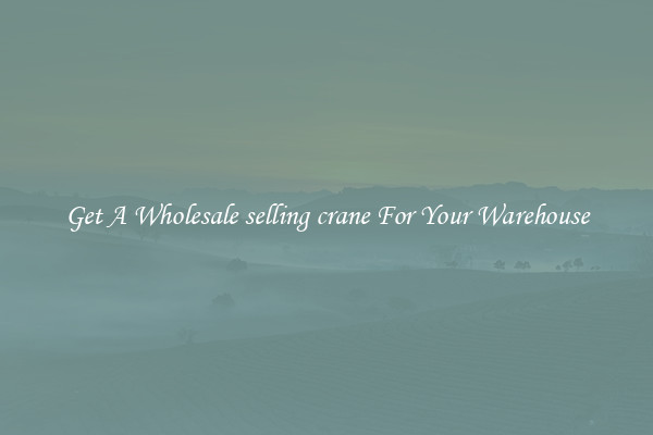 Get A Wholesale selling crane For Your Warehouse