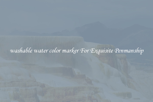 washable water color marker For Exquisite Penmanship