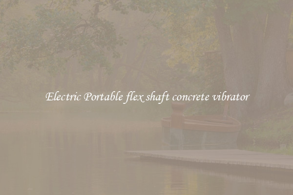 Electric Portable flex shaft concrete vibrator