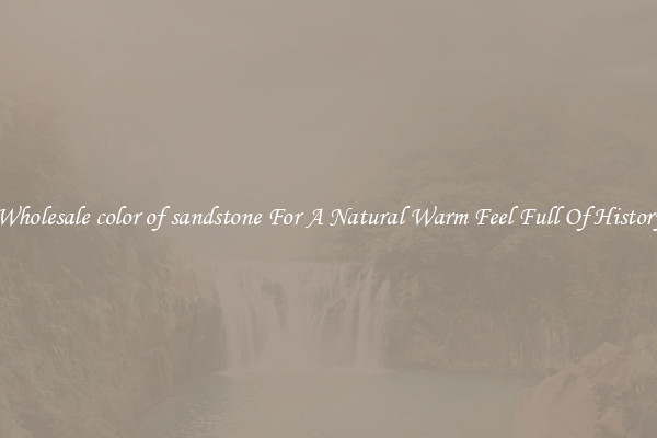 Wholesale color of sandstone For A Natural Warm Feel Full Of History