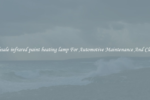 Wholesale infrared paint heating lamp For Automotive Maintenance And Cleaning