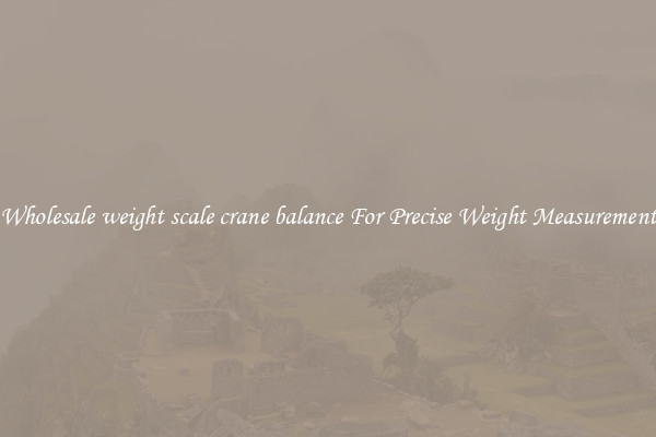 Wholesale weight scale crane balance For Precise Weight Measurement