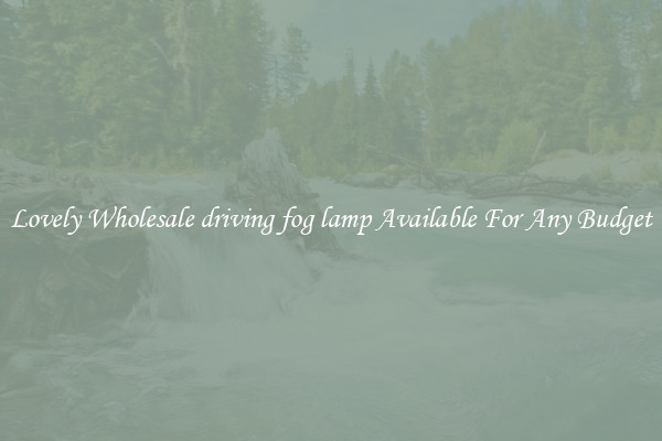 Lovely Wholesale driving fog lamp Available For Any Budget
