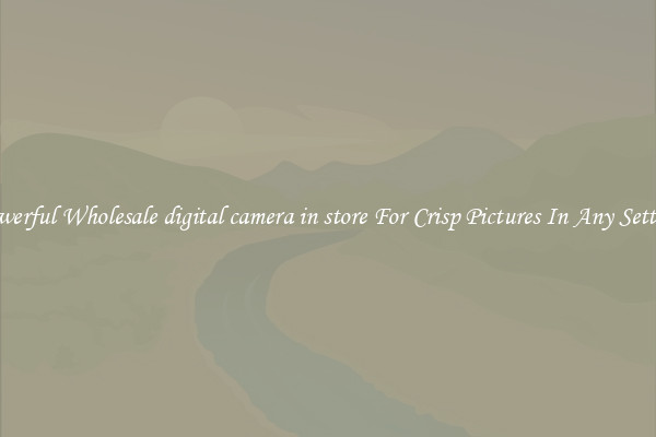 Powerful Wholesale digital camera in store For Crisp Pictures In Any Setting