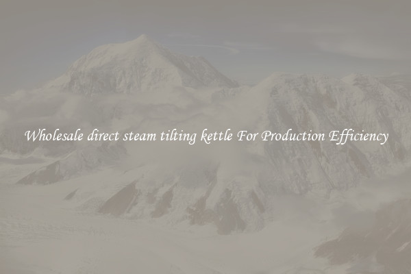 Wholesale direct steam tilting kettle For Production Efficiency