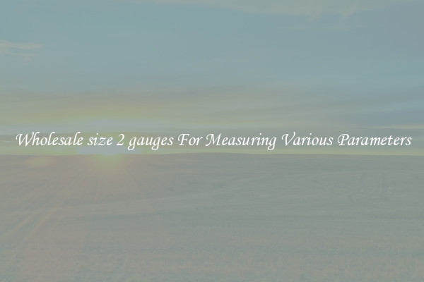 Wholesale size 2 gauges For Measuring Various Parameters