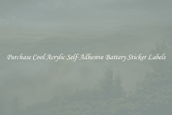 Purchase Cool Acrylic Self-Adhesive Battery Sticker Labels