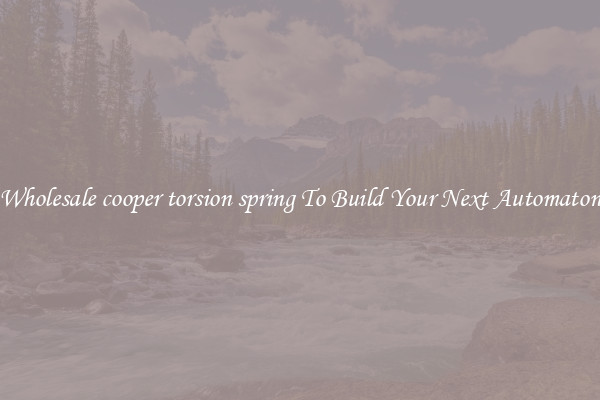 Wholesale cooper torsion spring To Build Your Next Automaton