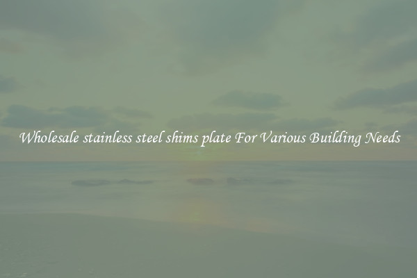 Wholesale stainless steel shims plate For Various Building Needs