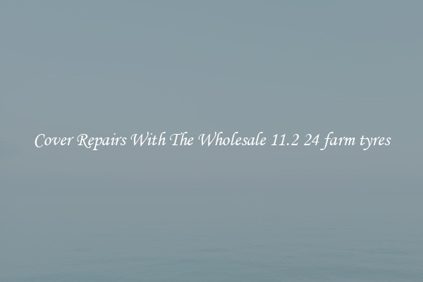 Cover Repairs With The Wholesale 11.2 24 farm tyres 