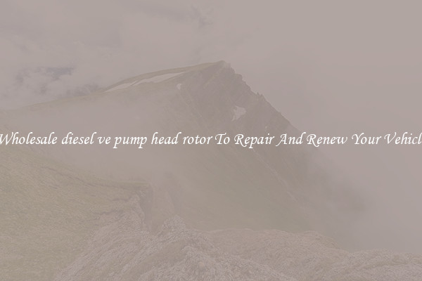 Wholesale diesel ve pump head rotor To Repair And Renew Your Vehicle