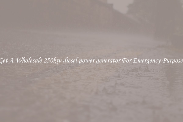 Get A Wholesale 250kw diesel power generator For Emergency Purposes